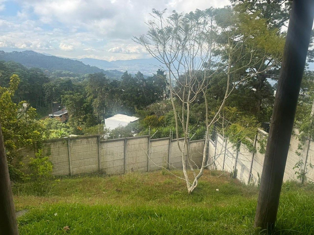 13 de 13: Jardín trasero