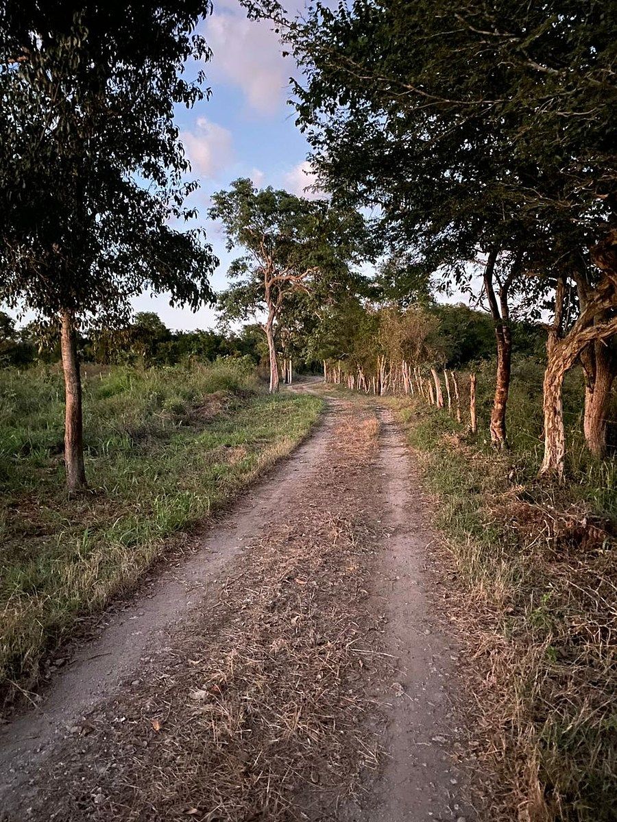 Rancho en Suma, Suma, foto 3 de 13