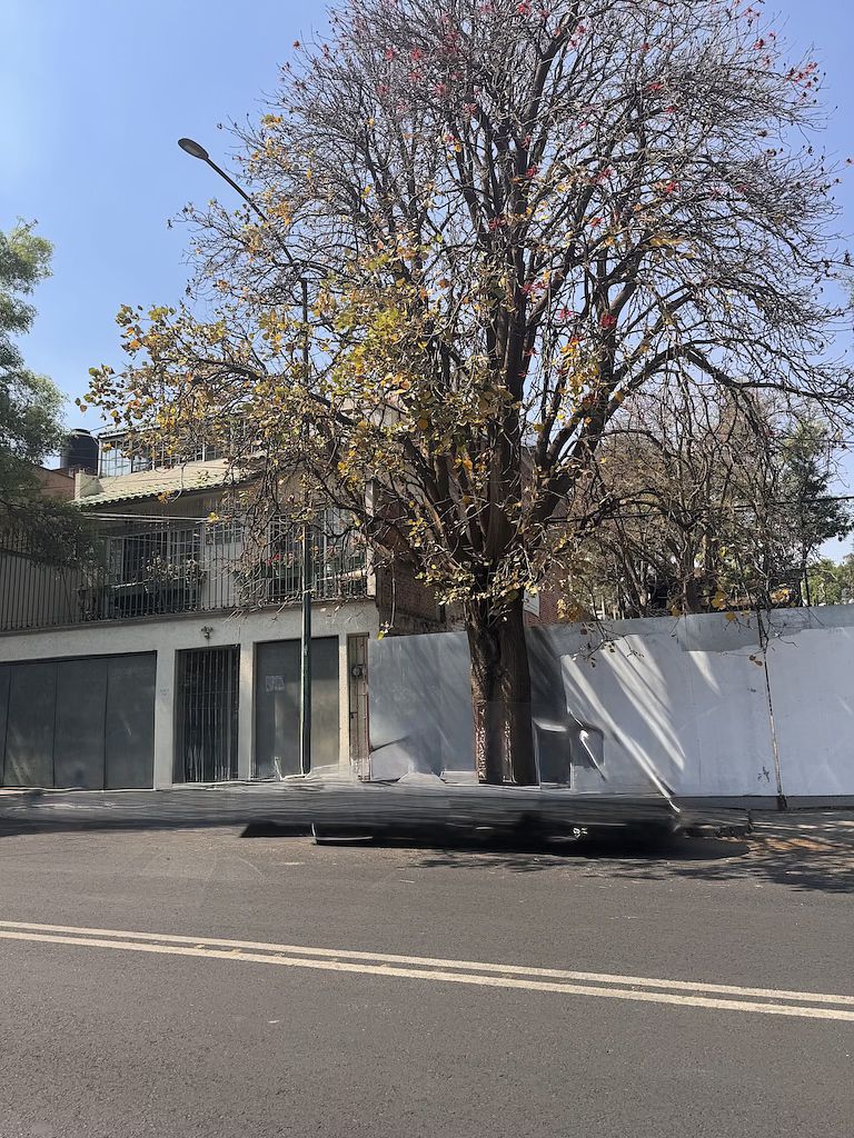 11 of 13: colindancia a la izquierda