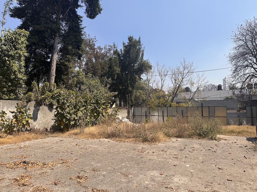 7 of 13: Vista desde fondo terreno