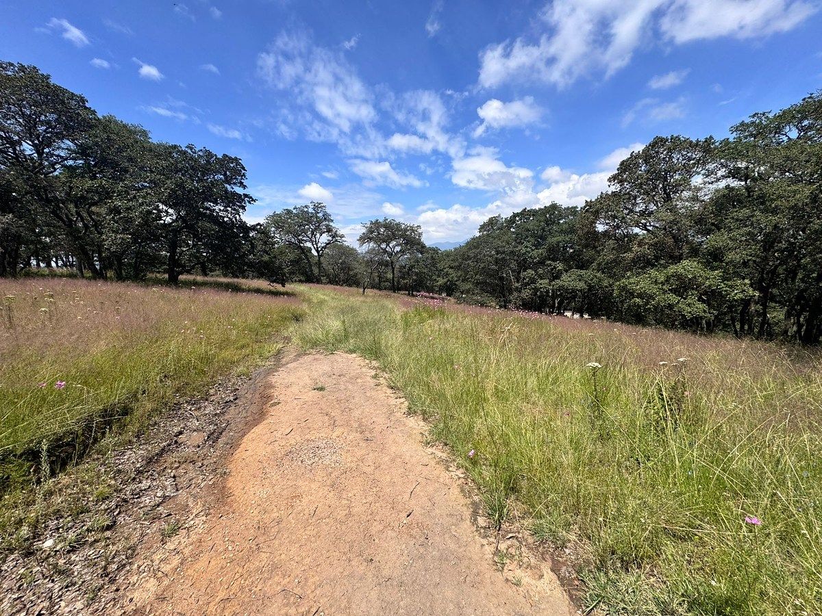 SE VENDE TERRENO EN PASEOS DE SAYAVEDRA, ATIZAPAN DE ZARAGOZA - foto 3