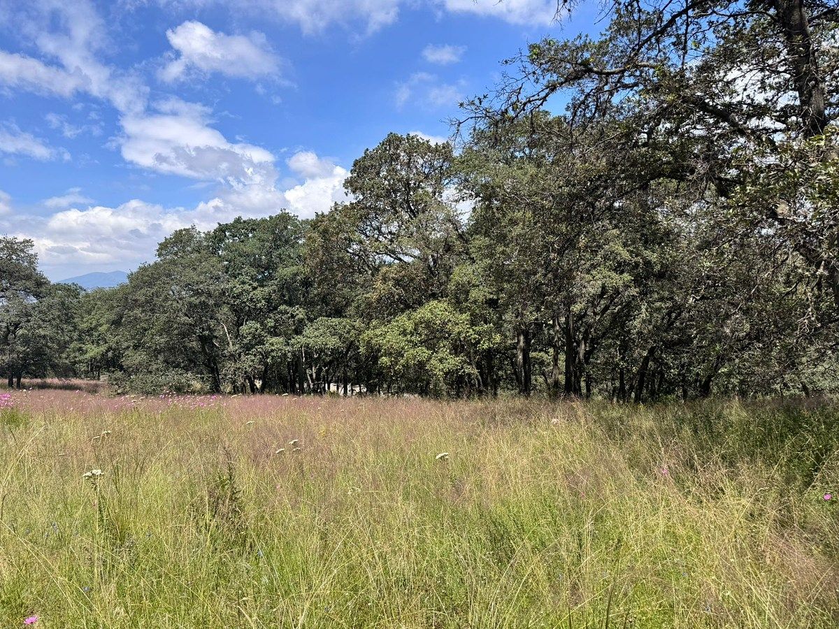SE VENDE TERRENO EN PASEOS DE SAYAVEDRA, ATIZAPAN DE ZARAGOZA - foto 4