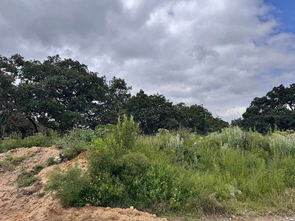 SE VENDE TERRENO EN PASEOS DE SAYAVEDRA, ATIZAPAN DE ZARAGOZA - foto 5