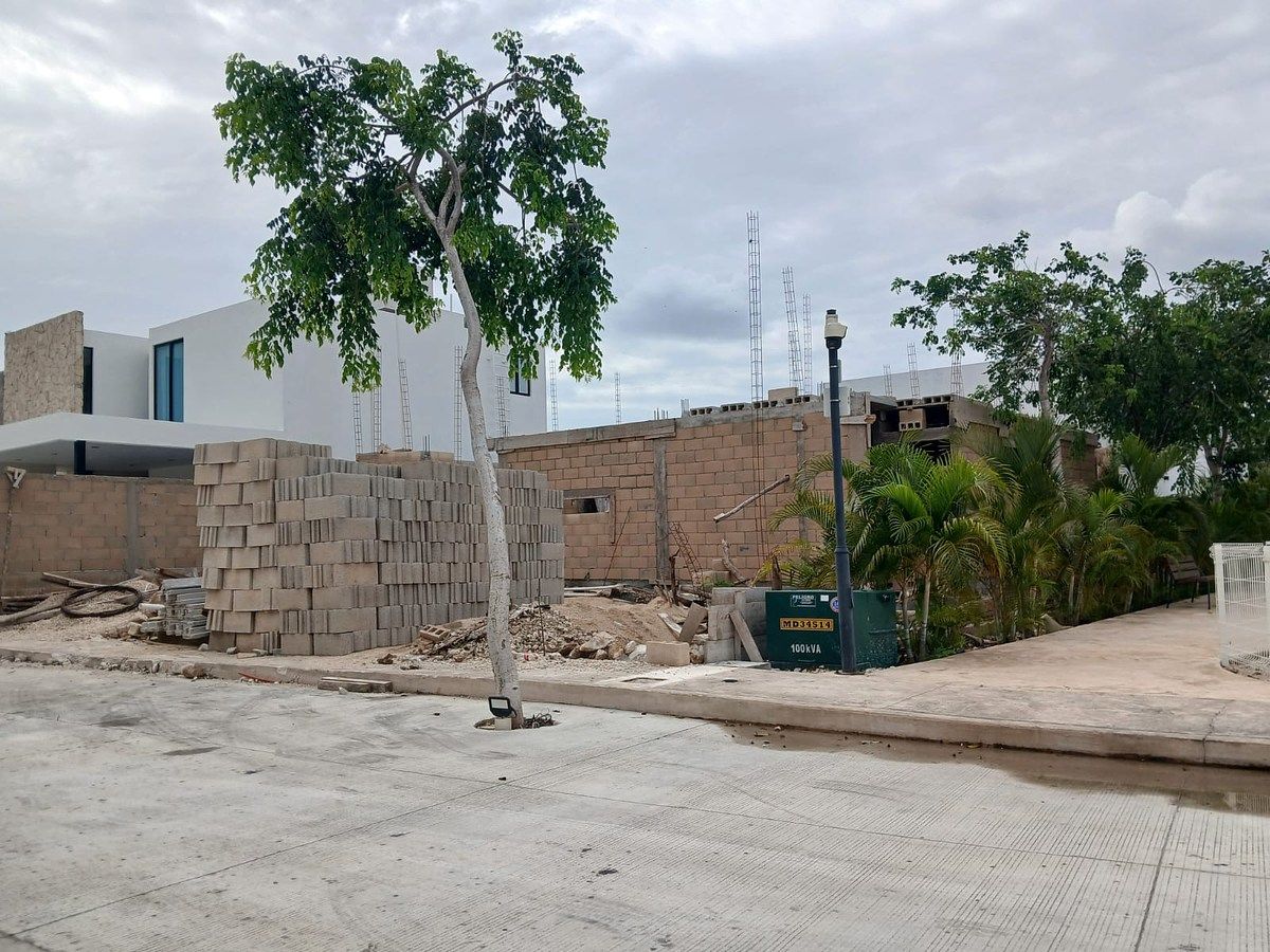 AVANCEJUNIO 2026, foto 16 de 20