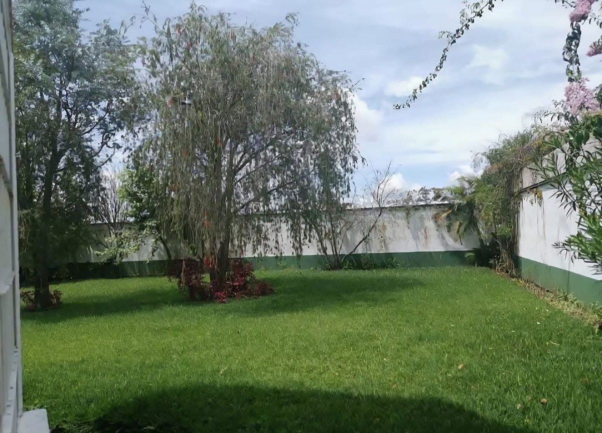 3 de 17