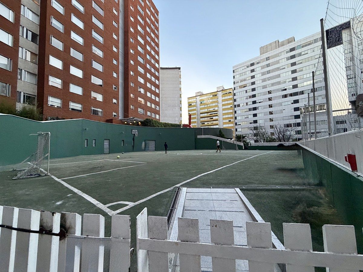 20 de 29: Cancha de fútbol