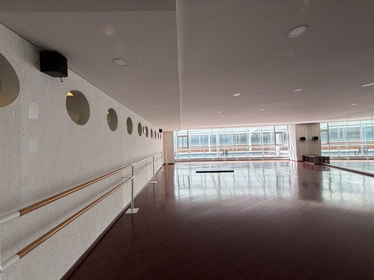 23 de 29: Salón de yoga