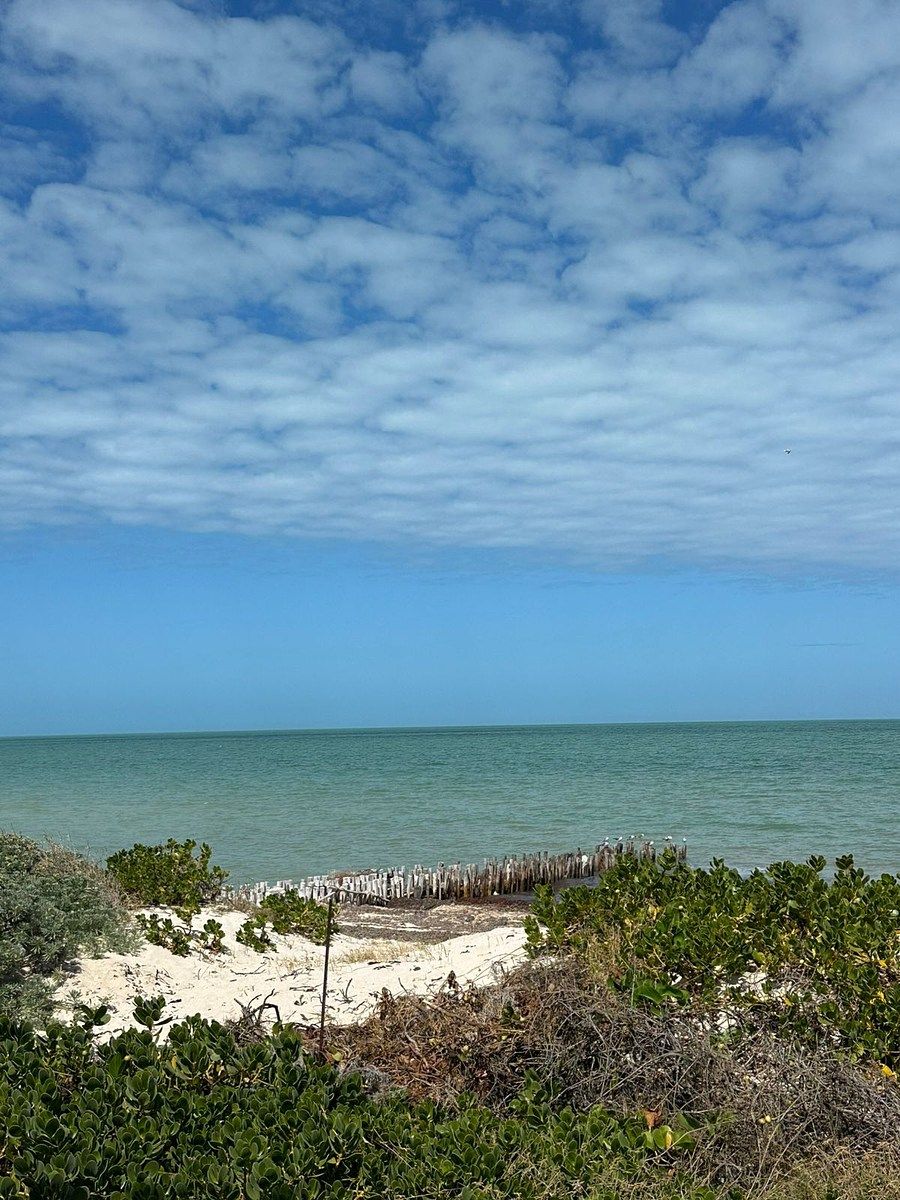 13 de 13: Vista desde Villa