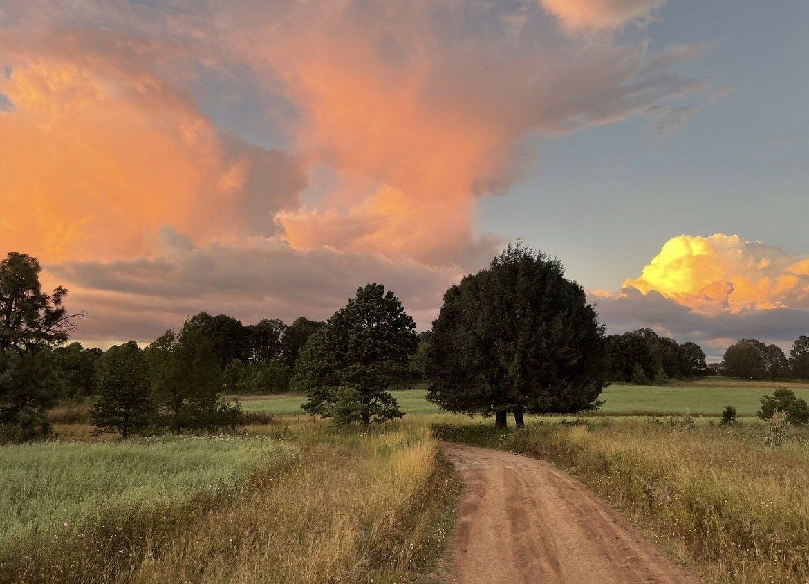 1 de 16: Hermoso paisaje de camino a la cabaña