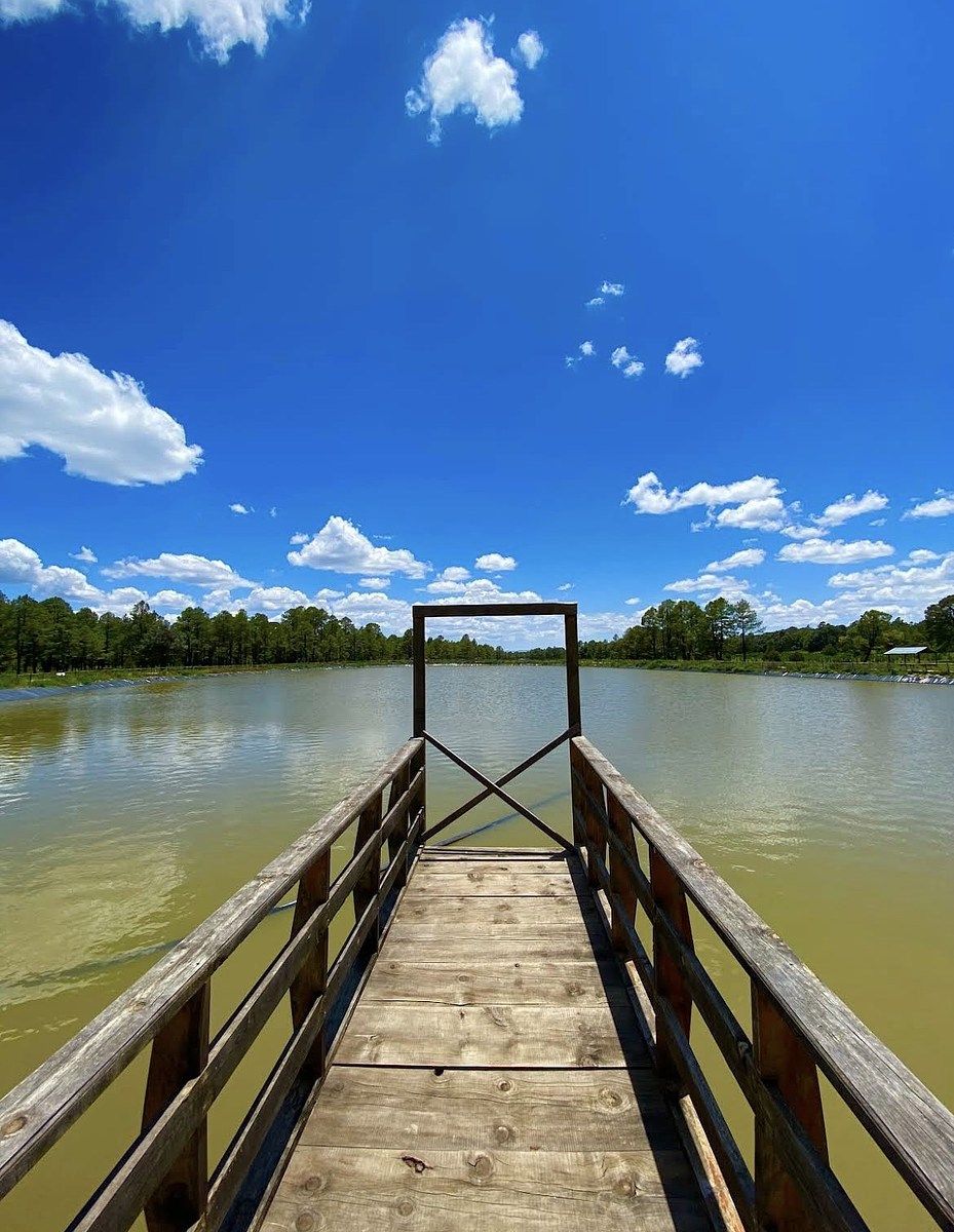 15 de 16: Opción de hacer Kayak