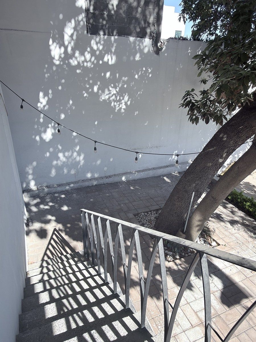 10 de 18: area de jardin