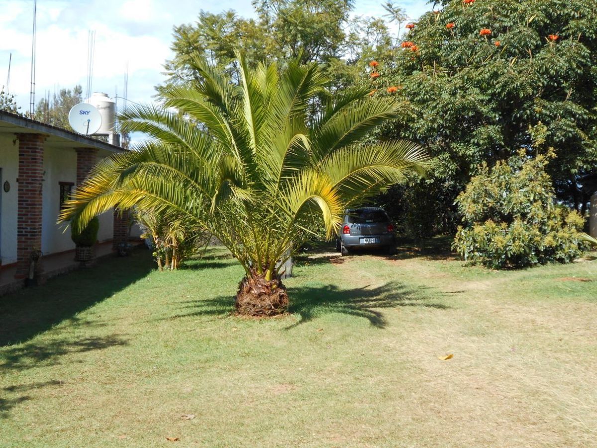 4 de 15