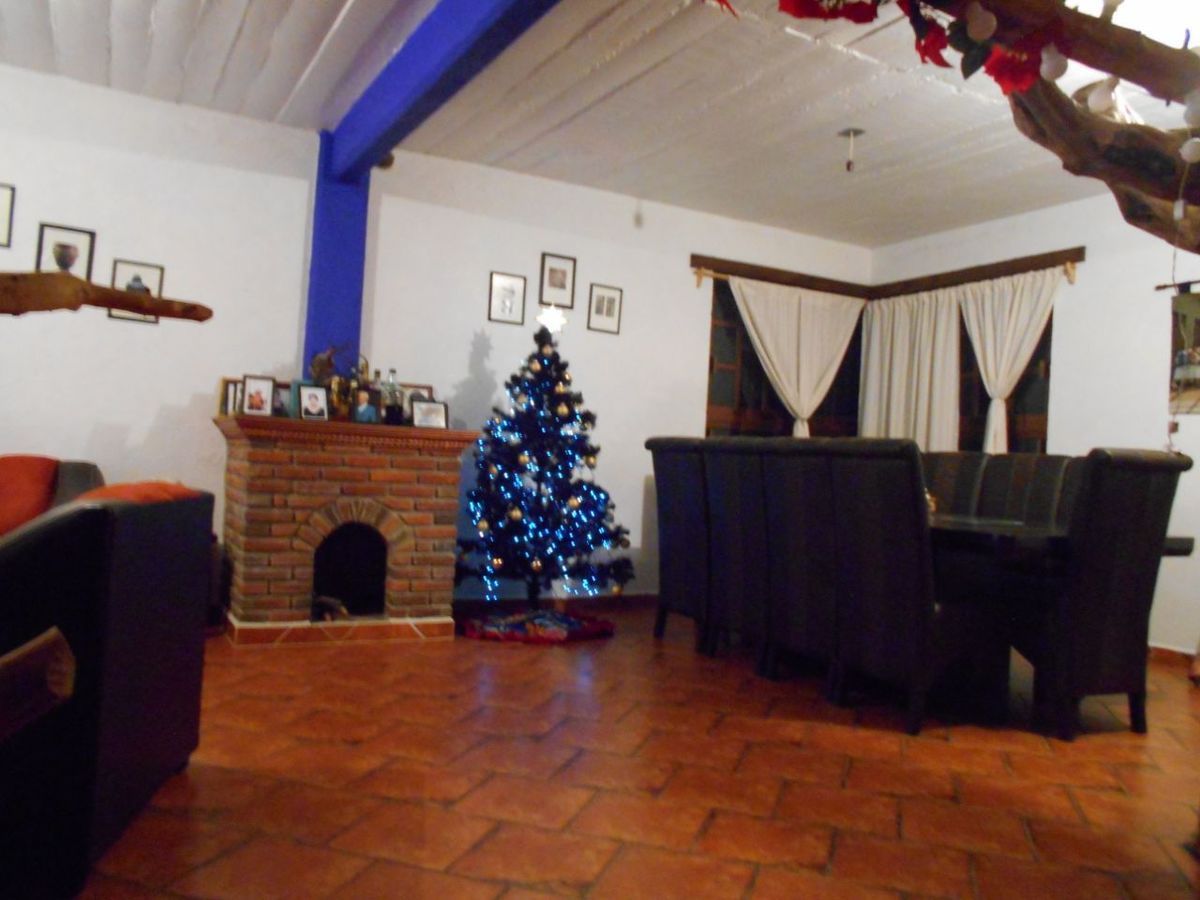 5 de 15