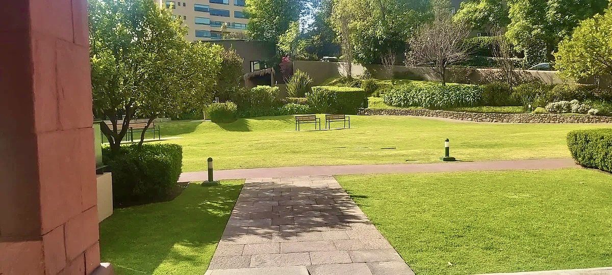 16 de 16: Jardín del edificio