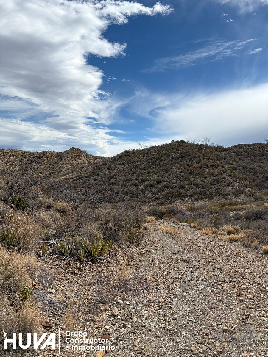 9 de 12: Vista del terreno general