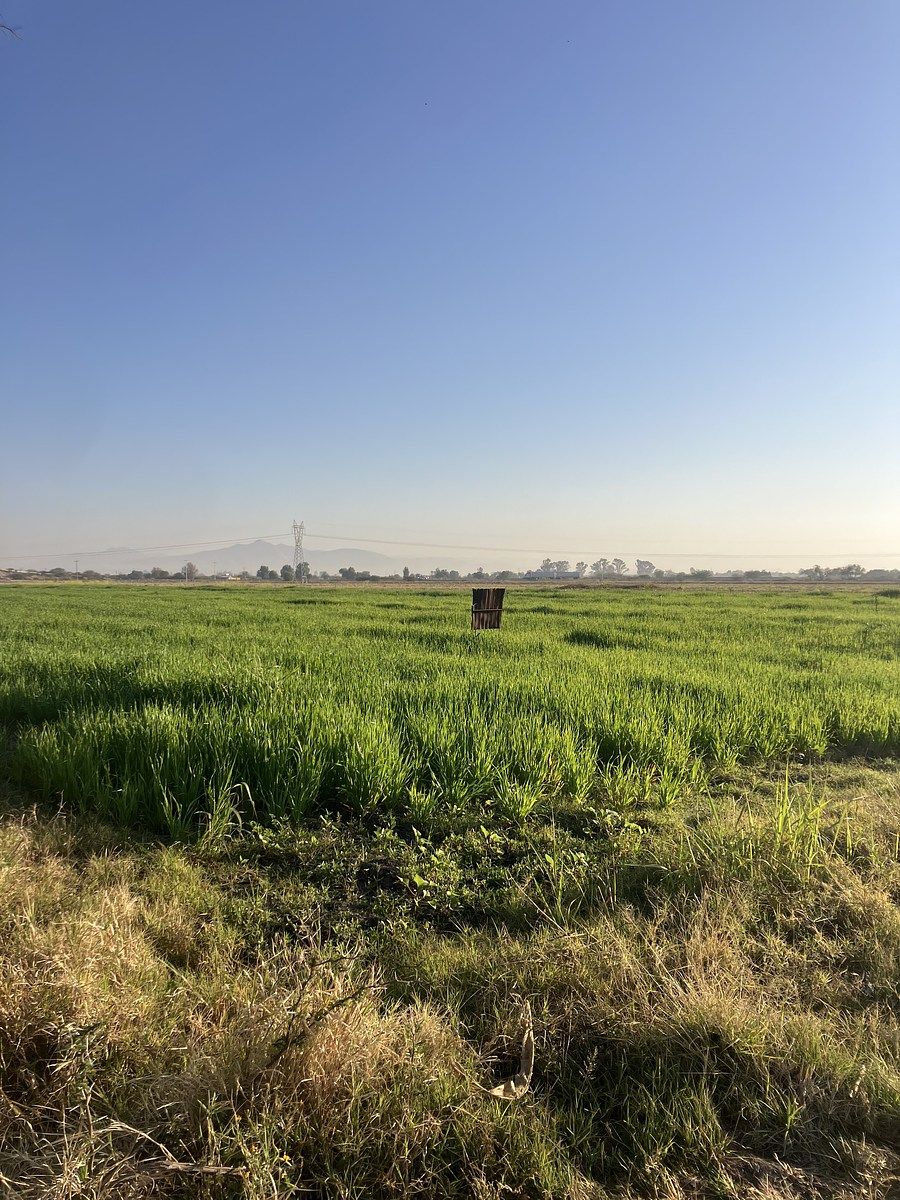 Rancho venta Silao - foto 1