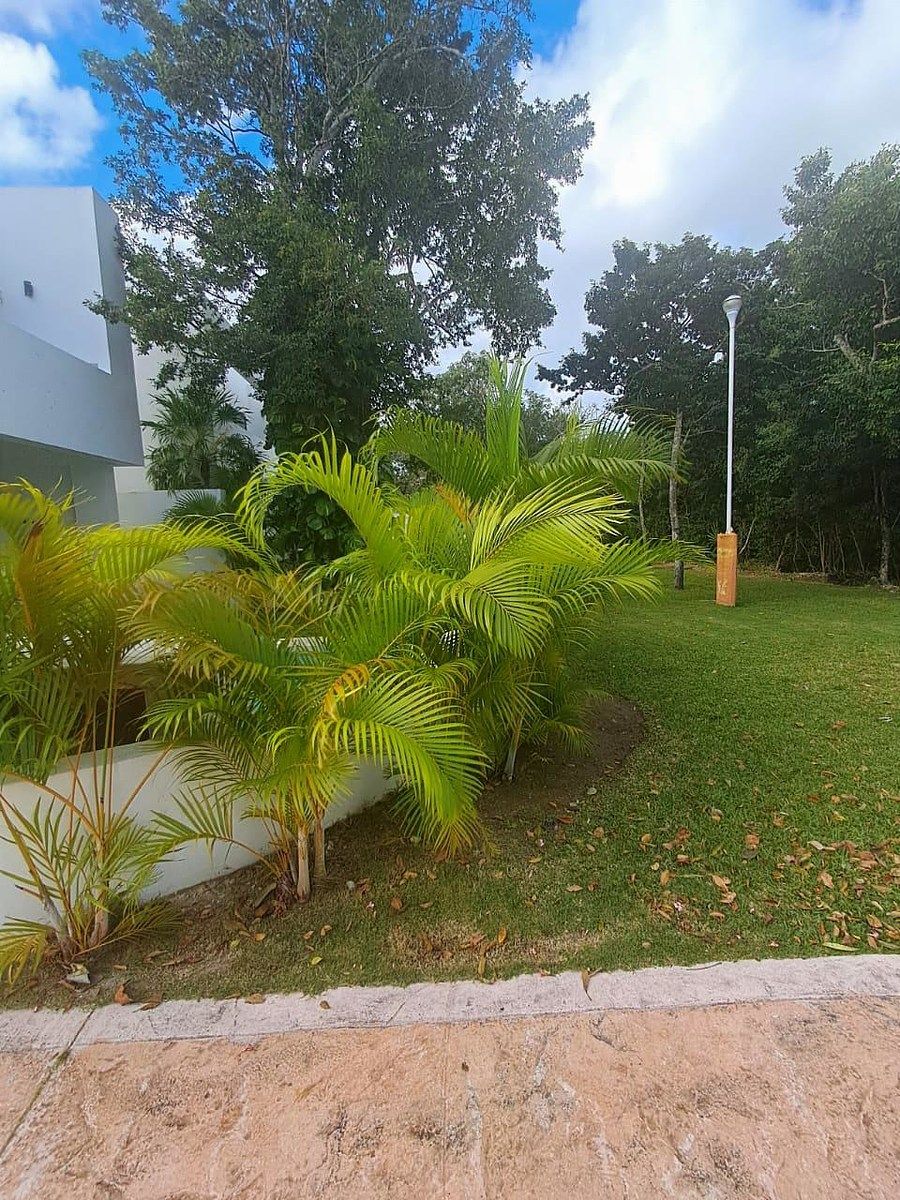 27 de 27: Jardín exterior
