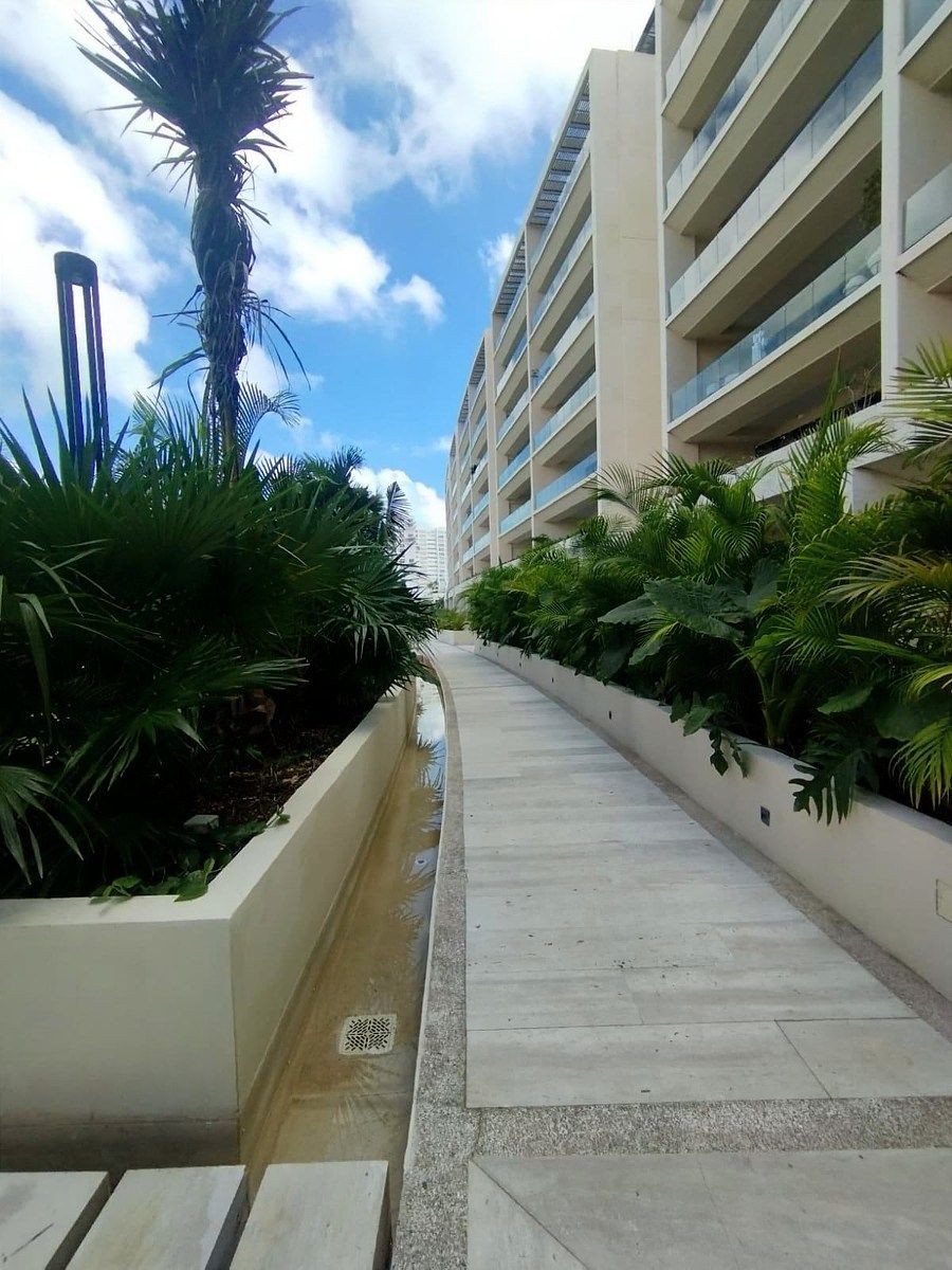 29 de 36: Camino áreas verdes