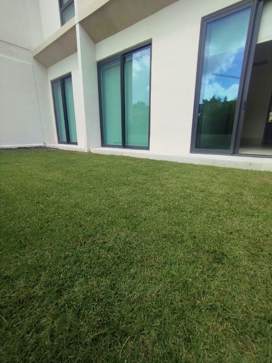 26 de 36: Patio trasero 2