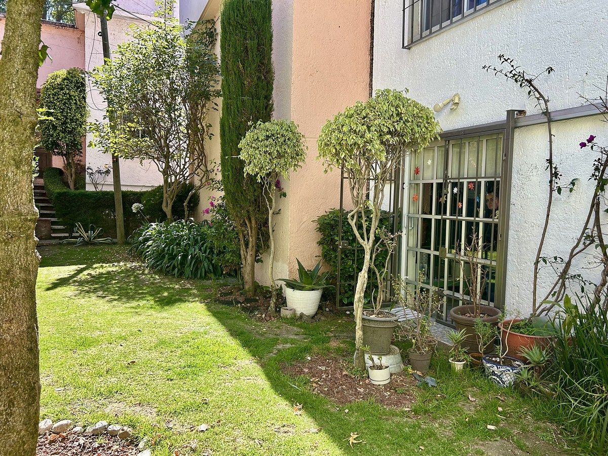 Jardín común de 4 casas, foto 12 de 42