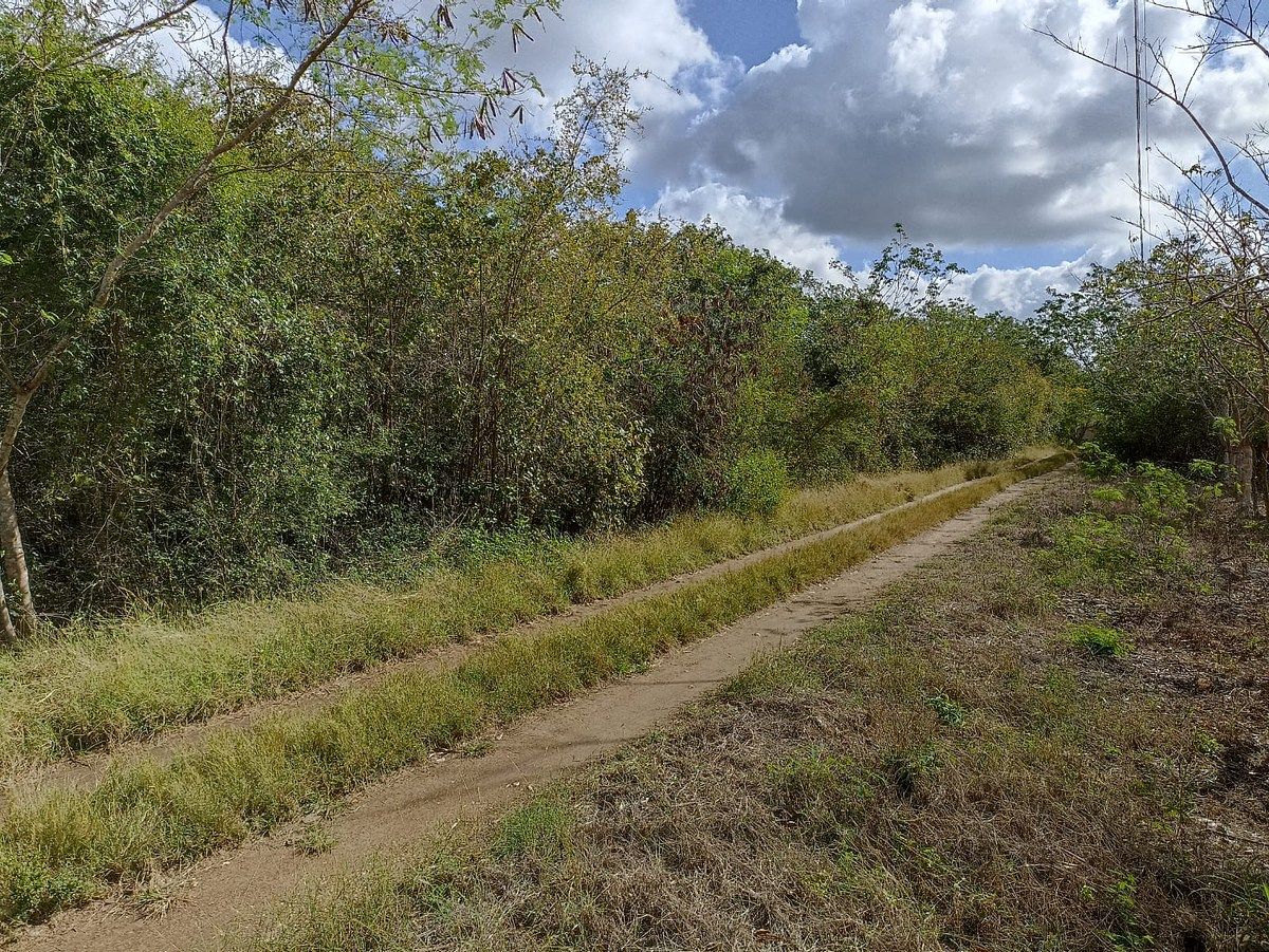 8 of 25: 2DA CALLE FRENTE DE 60 MTS