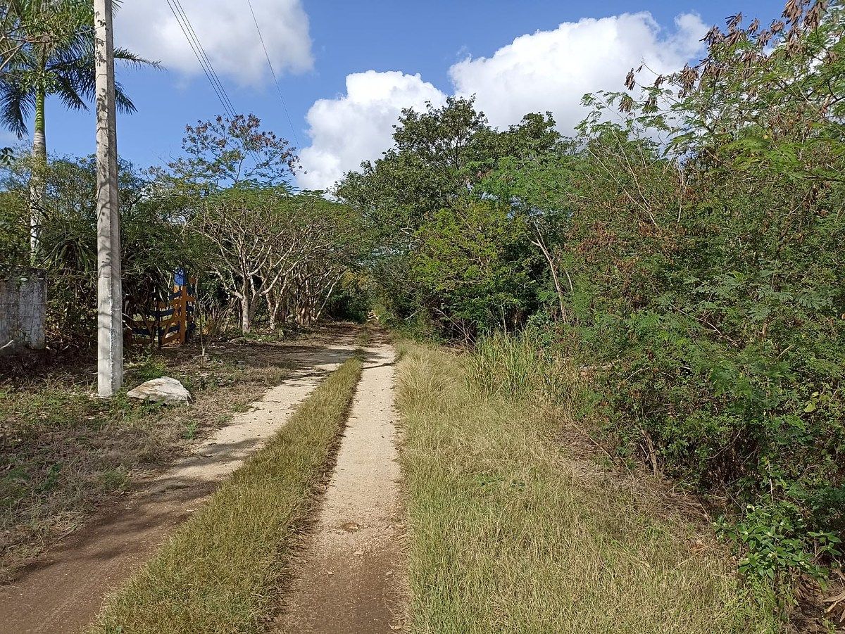 15 of 25: ALUMBRADO PUBLICO EN AMBAS CAALES