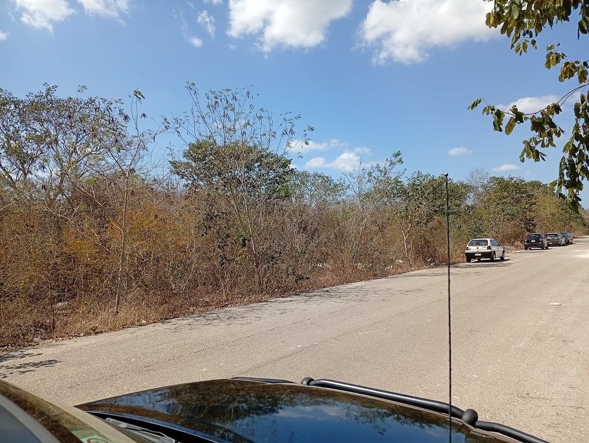 24 of 25: CAALE PAVIMENTADA