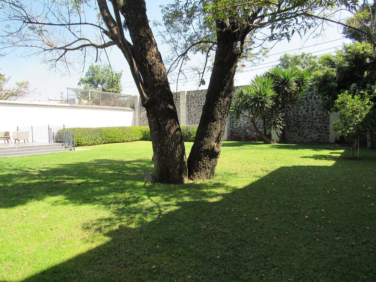 6 de 34: Casa en Venta en San Ángel Rayo Vende ®