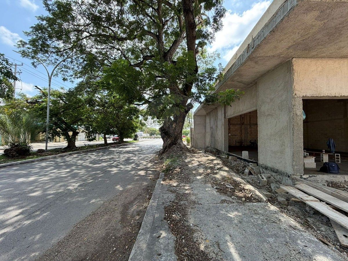 Local comercial en Residencial Colonia México, Mérida, foto 6 de 12