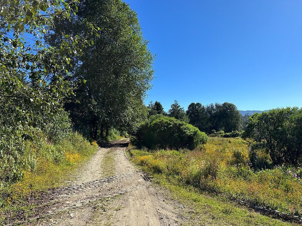14 de 43: Camino al lado del Terreno