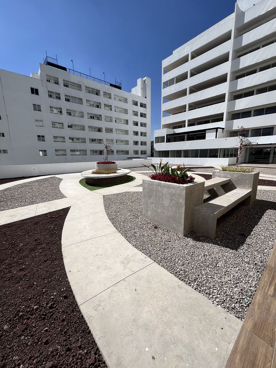 36 de 37: Area de Perros