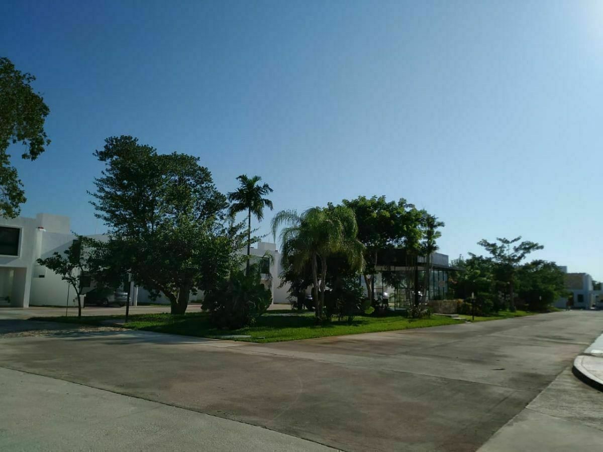 10 de 10: Vialidades