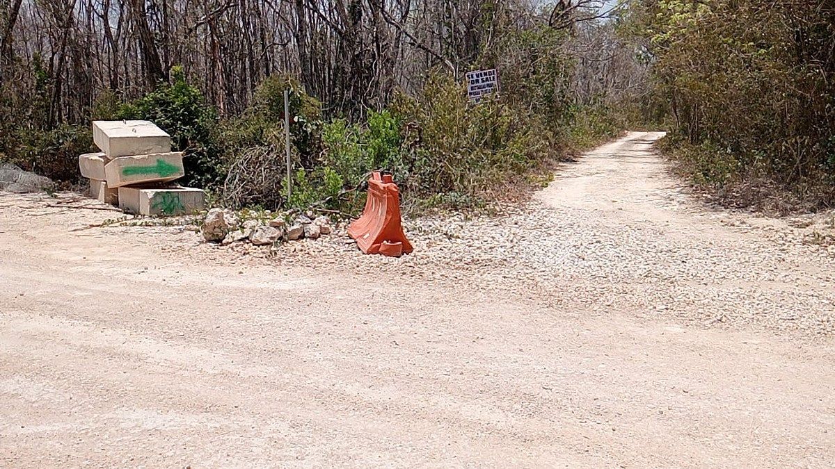 4 de 11: 5 hectáreas en Playa Del Carmen, RV-001 Acceso al Predio.