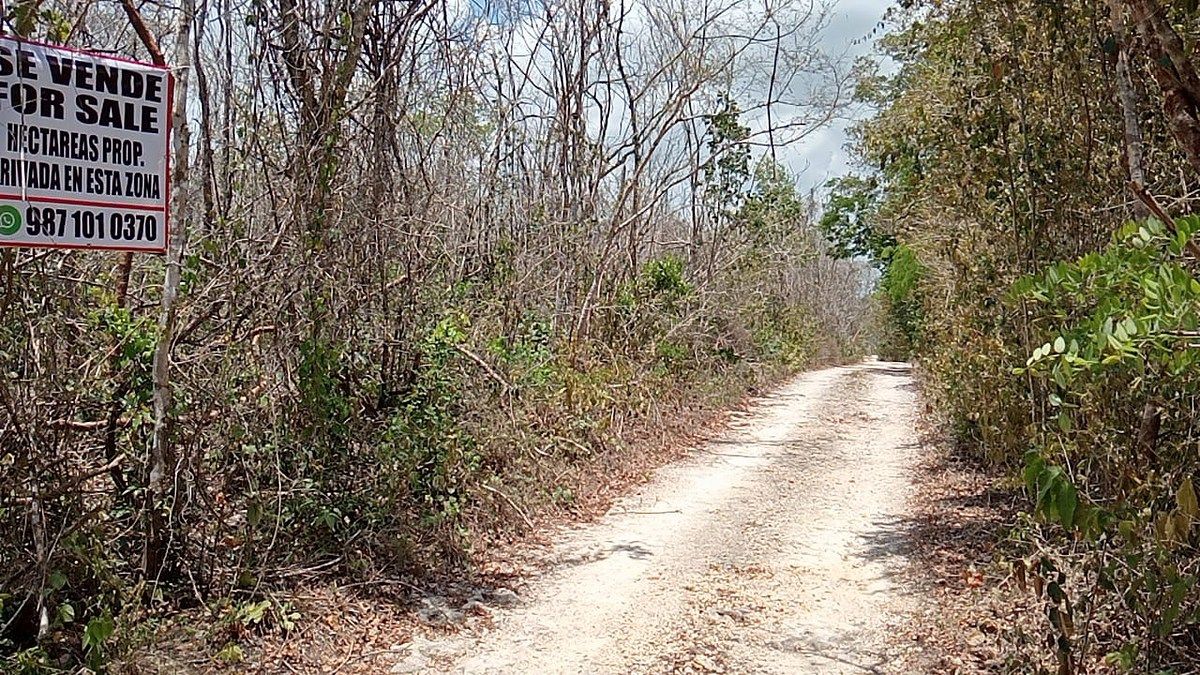5 de 11: 5 hectáreas en Playa Del Carmen, Q. Roo. RV-001 ubicación