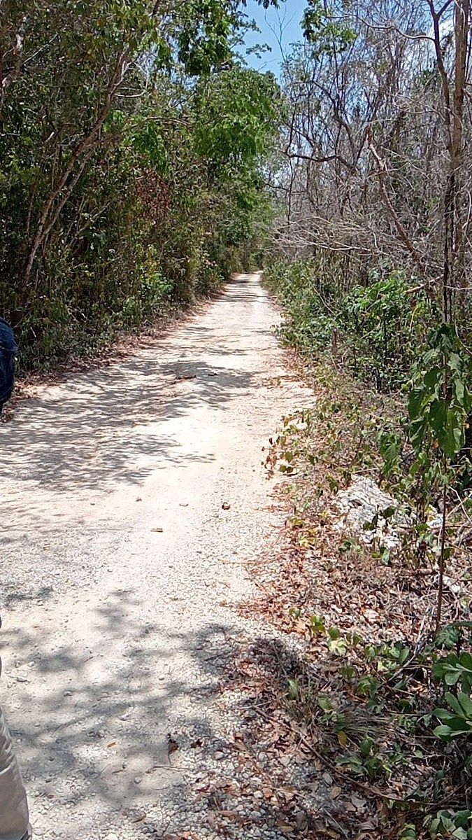 6 de 11: 5 hectáreas en Playa Del Carmen, Q. Roo RV-001 via de paso