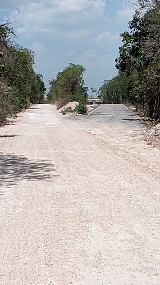8 of 11: Terreno cercano a vía del Tren Maya