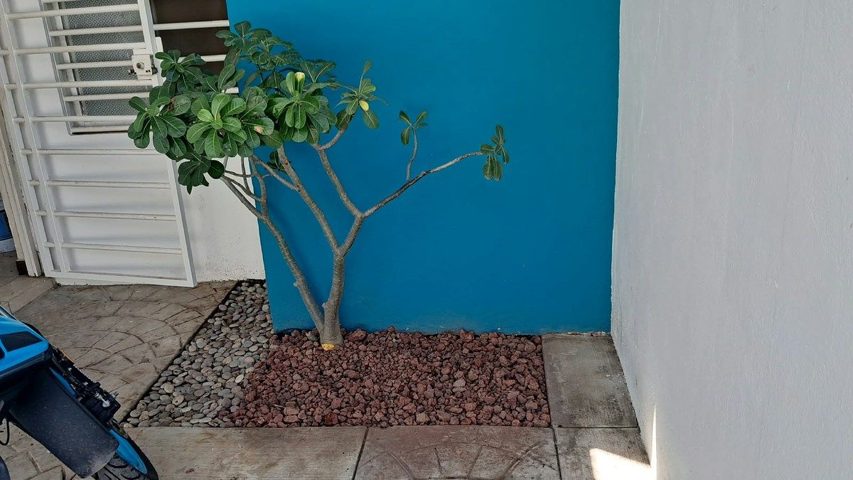 Casa en venta en colima - foto 2