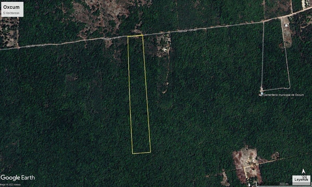 TERRENO EN VENTA OXCUM YUCATAN - foto 2