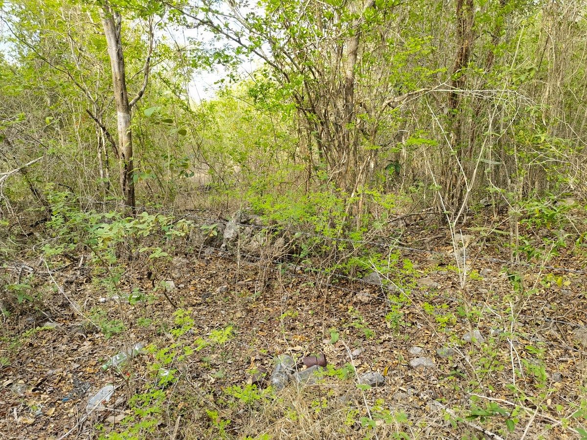 TERRENO EN VENTA TETIZ, 6 HECTAREAS - foto 3