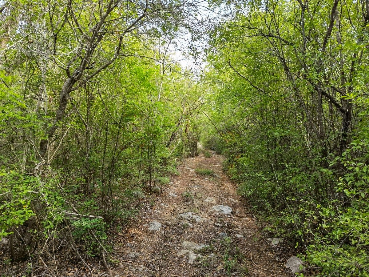 TERRENO EN VENTA TETIZ, 6 HECTAREAS - foto 4