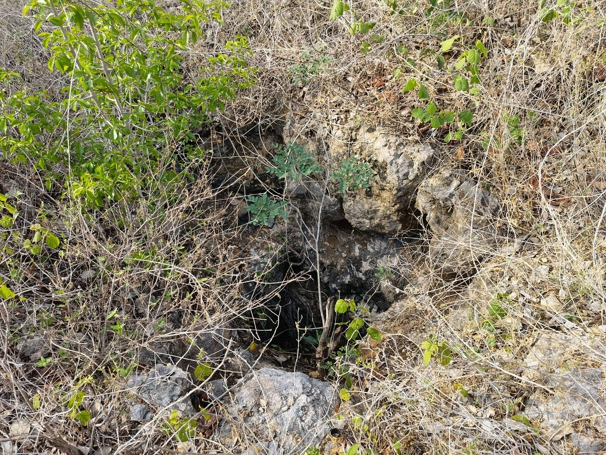 TERRENO EN VENTA TETIZ, 6 HECTAREAS - foto 5