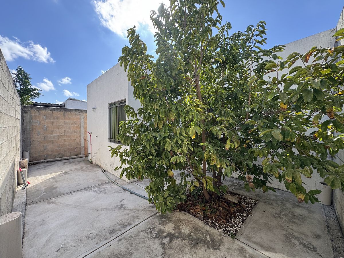 10 de 10: Patrio trasero