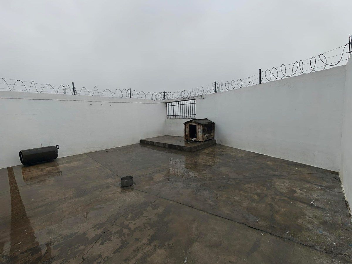 7 de 10: PATIO TRASERO