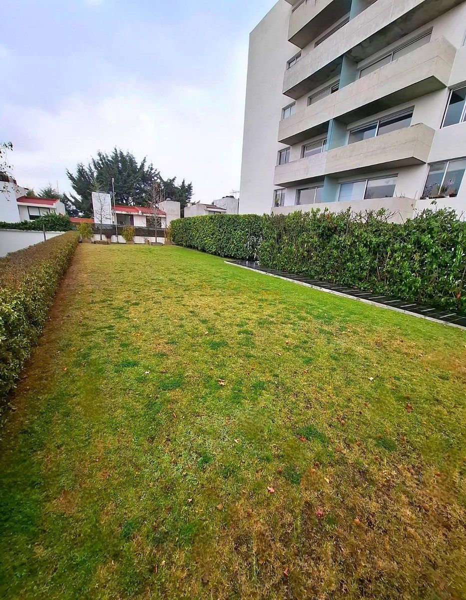 12 de 16: Jardín común