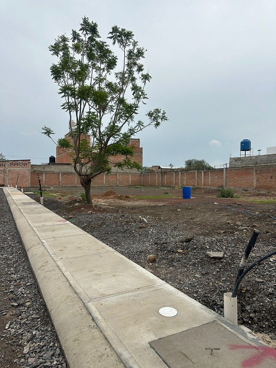 Terreno en Cuitzeo, Poncitlán, foto 7 de 13
