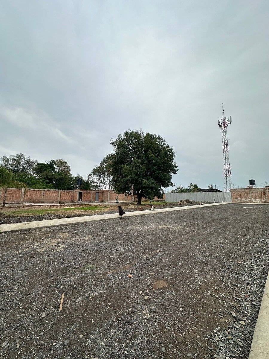 Terreno en Cuitzeo, Poncitlán, foto 11 de 13