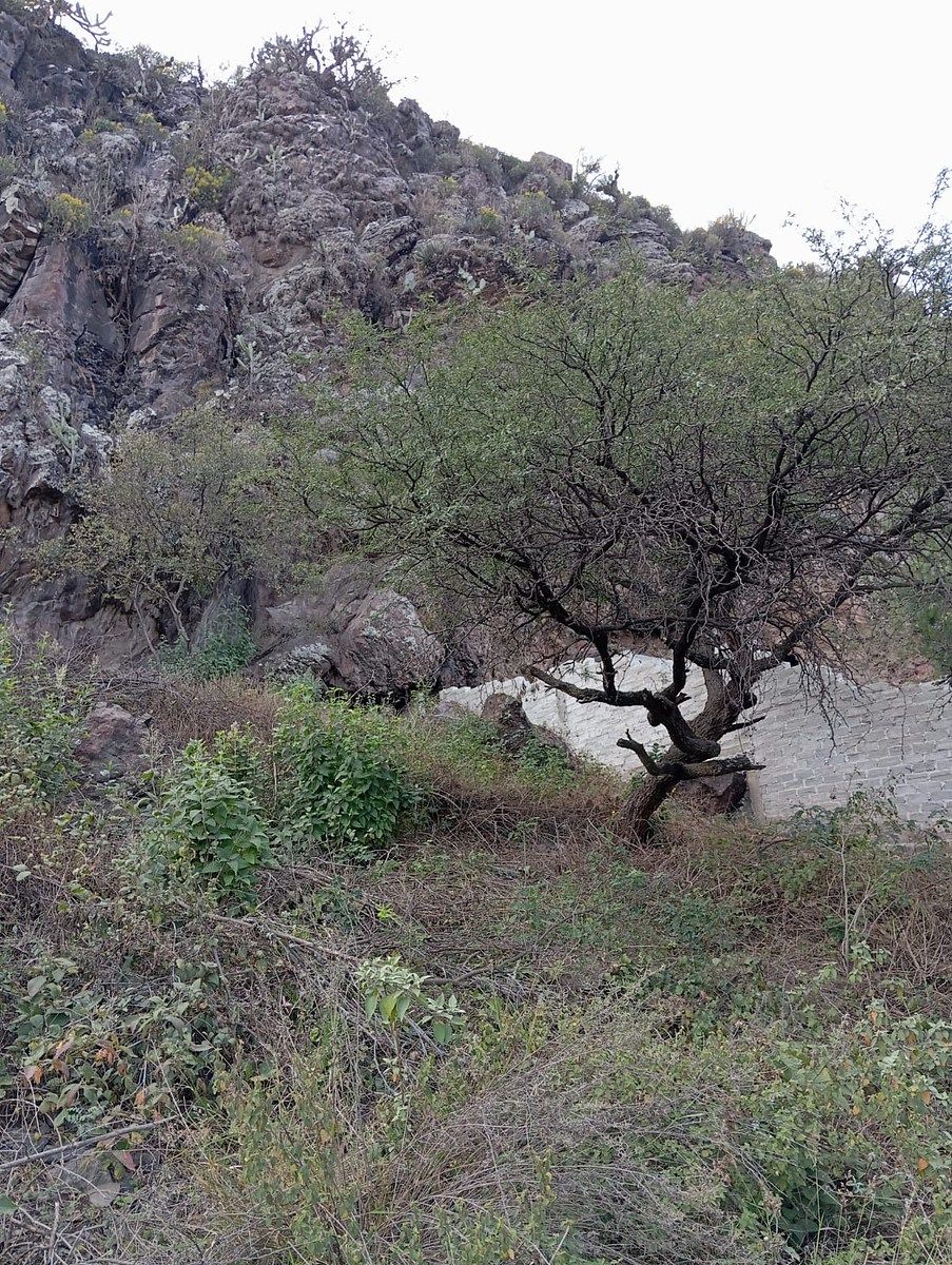 TERRENO EN VENTA EN LA CAÑADA - foto 3
