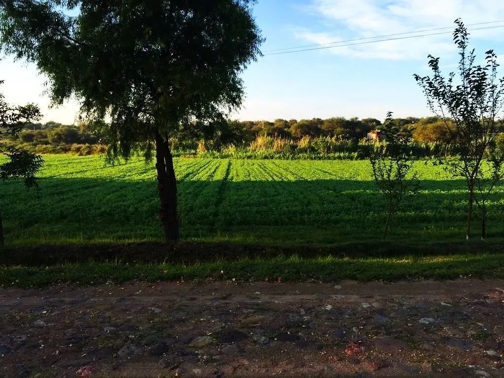 πΎ 12 Hectare Agricultural Ranch for Sale in San Miguel de Allende | 2 Homes - Image 3