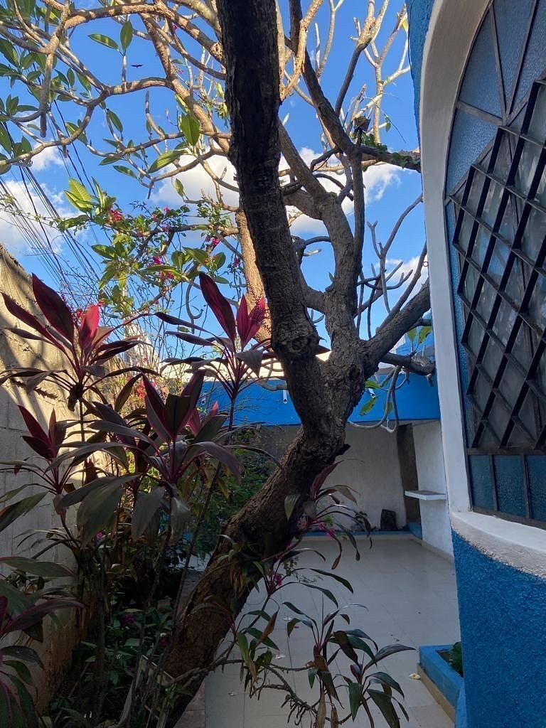 1 de 39: cochera para un auto. Interior de la casa