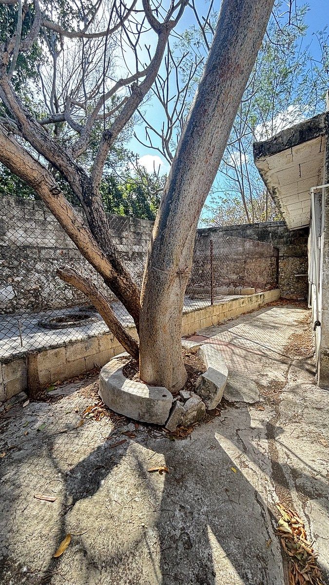 34 de 39: vista posterior de la casa